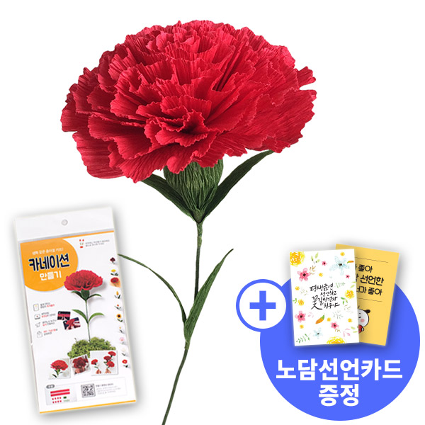 [종이꽃시리즈] 노담선언카드와 카네이션 만들기 KIT
