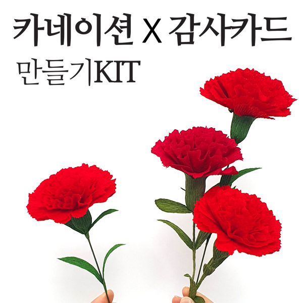 카네이션 감사카드 만들기 KIT