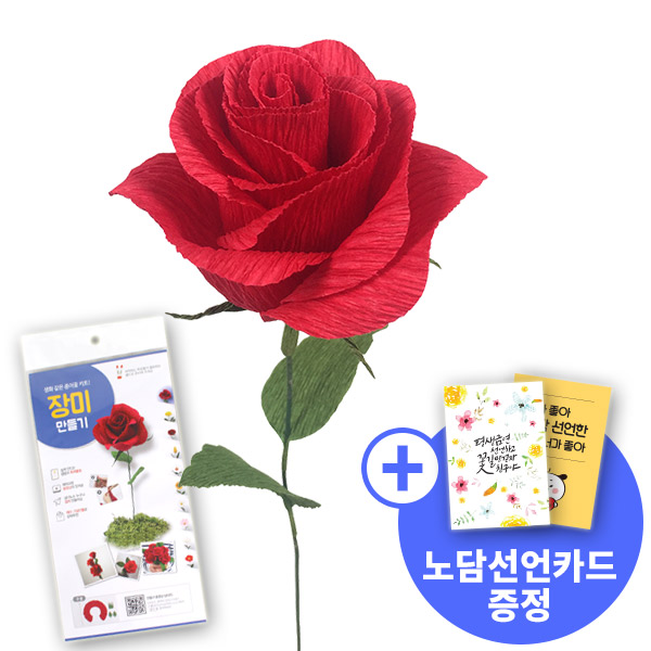 [종이꽃시리즈] 노담선언카드와 장미 만들기 KIT