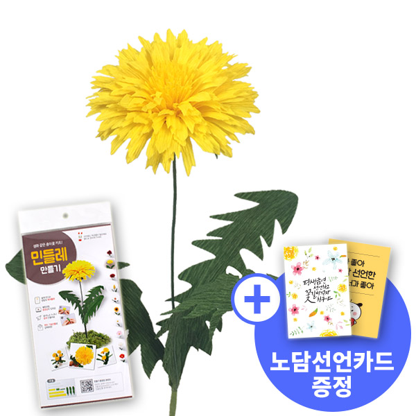 [종이꽃시리즈] 노담선언카드와 민들레 만들기 KIT