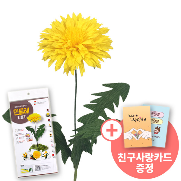 [종이꽃시리즈] 친구사랑카드와 민들레 만들기 KIT