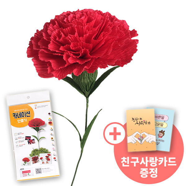[종이꽃시리즈] 친구사랑카드와 카네이션 만들기 KIT