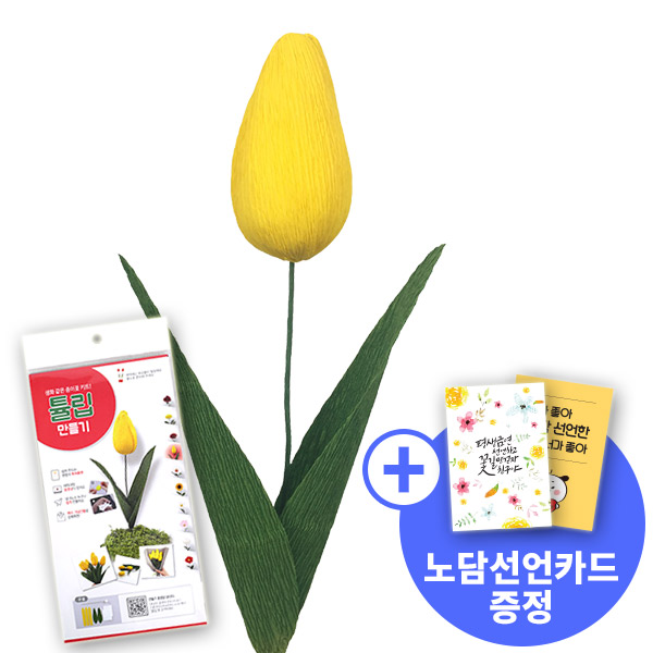 [종이꽃시리즈] 노담선언카드와 튤립 만들기 KIT
