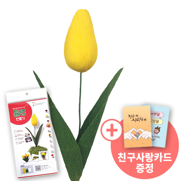 [종이꽃시리즈] 친구사랑카드와 튤립 만들기 KIT