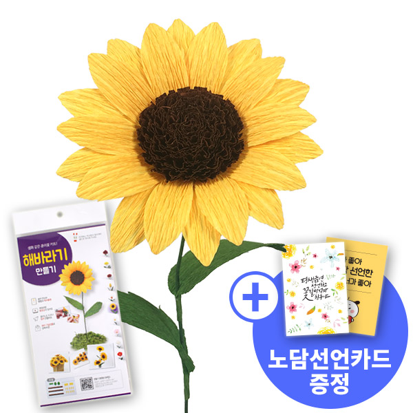 [종이꽃시리즈] 노담선언카드와 해바라기 만들기 KIT