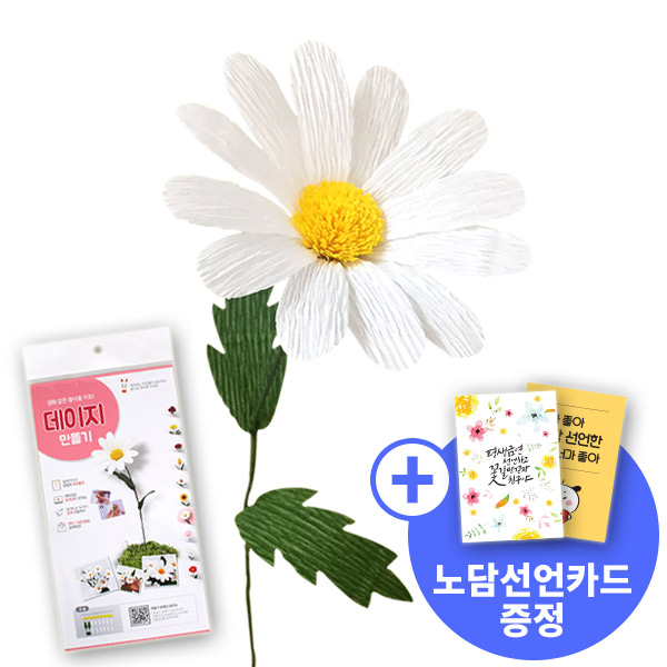 [종이꽃시리즈] 노담선언카드와 데이지 만들기 KIT