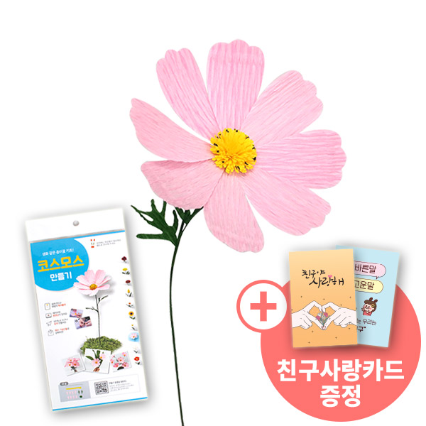 [종이꽃시리즈] 친구사랑카드와 코스모스 만들기 KIT