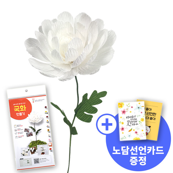 [종이꽃시리즈] 노담선언카드와 국화 만들기 KIT