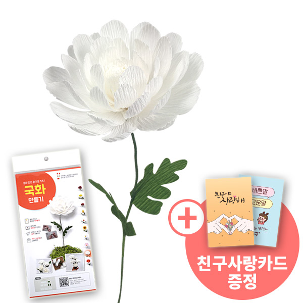 [종이꽃시리즈] 친구사랑카드와 국화 만들기 KIT