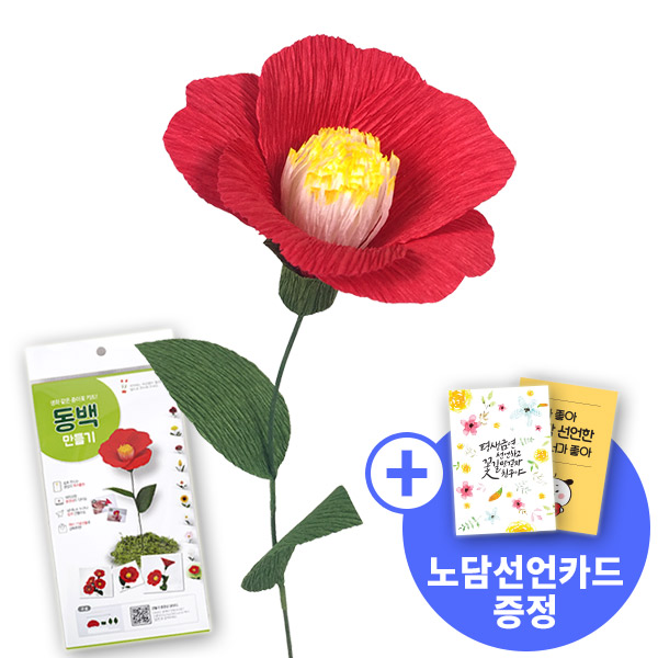[종이꽃시리즈] 노담선언카드와 동백 만들기 KIT