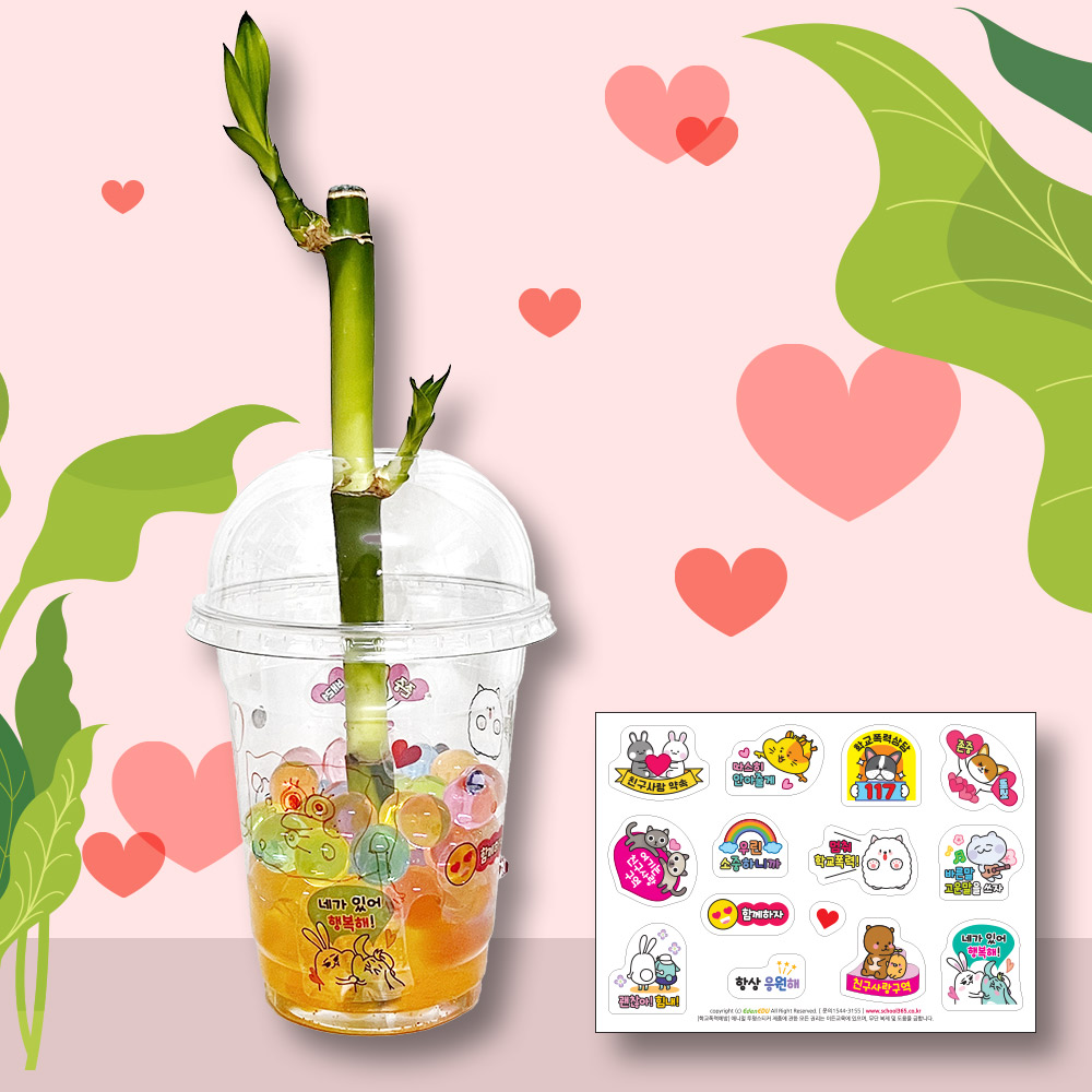 DIY 학교폭력예방 개운죽 만들기 (10인용)