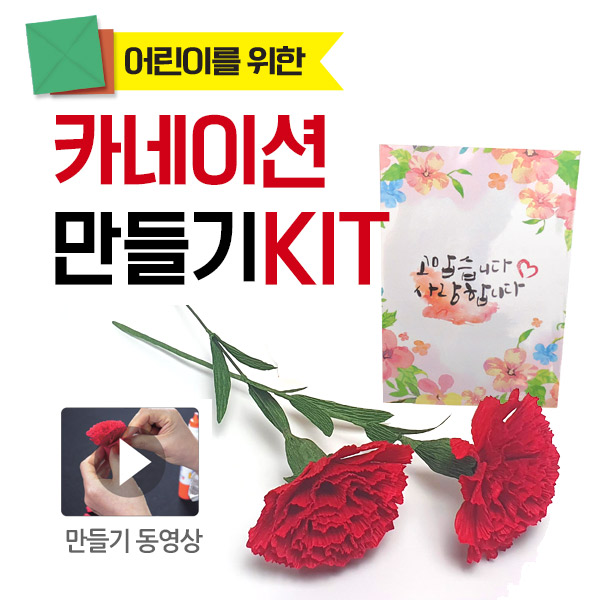 어린이를 위한 카네이션 만들기 KIT