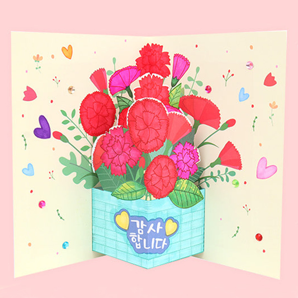 카네이션 감사화분 팝업카드+봉투