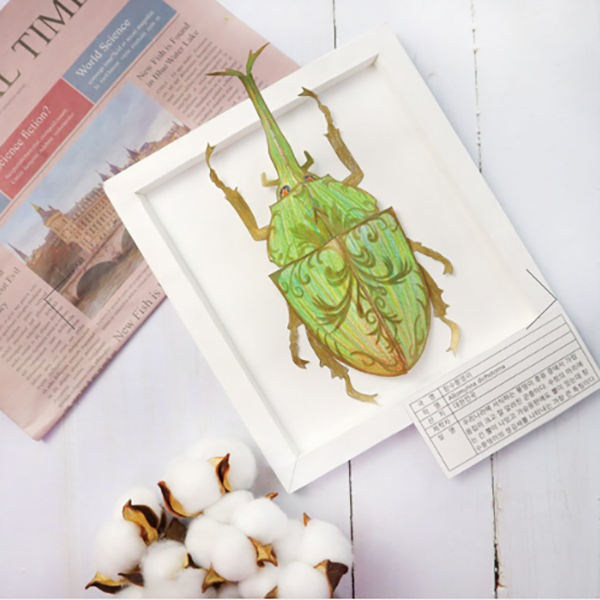 장수풍뎅이 액자 만들기 패키지 5인용