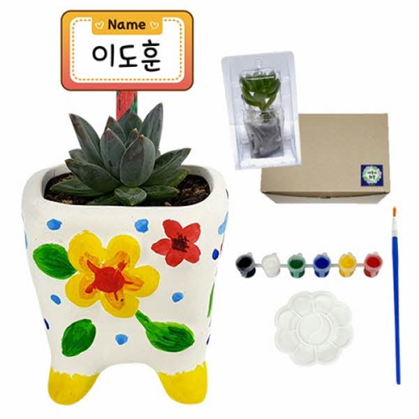 [만들기대장]다육식물 입체화분 물감세트[식물보호케이스포함]