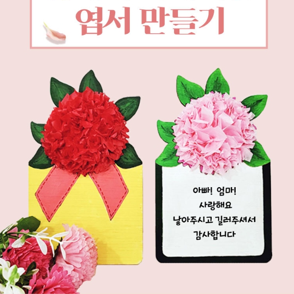 카네이션엽서