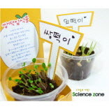 내가 만드는 과학원리, 새싹키우기 (5인용)