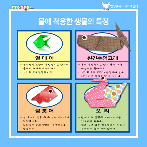 환경과 생물 10인용