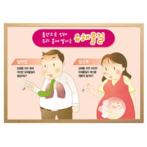 흡연으로 인한 신체피해I 자석보드판 세트 유해물질 15종