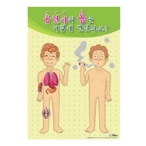흡연자의 몸 자석보드/자석 20종 set