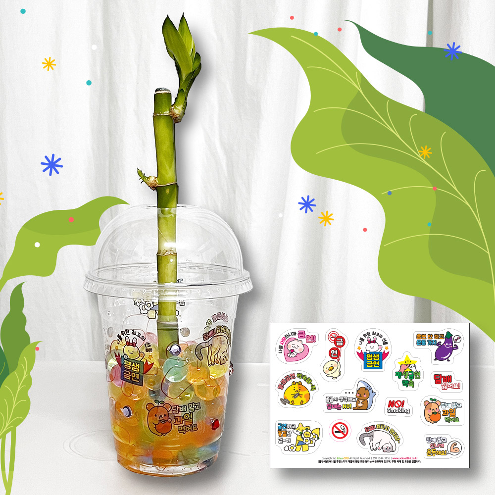 DIY 흡연예방 개운죽 만들기 (10인용)