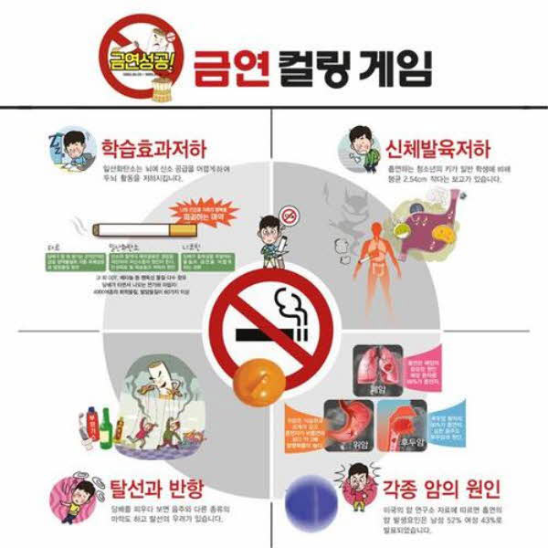 금연 컬링게임 (행사용 600*1800mm)