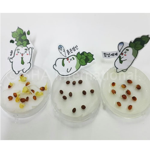 무씨와 오염물질 5인용