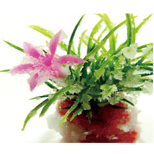 붕산의 결정석출 5인용