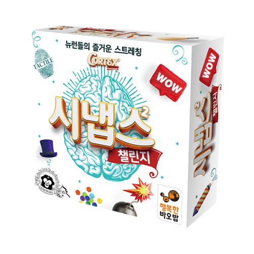 시냅스 챌린지2