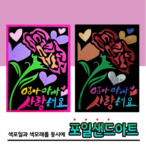 포일샌드 카네이션