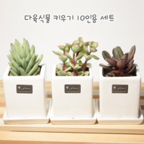 루돌프장식 종이접기 10인용