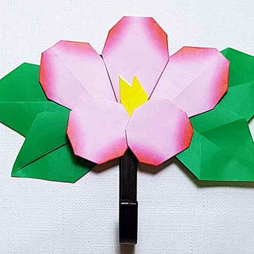 무궁화 걸이 5인용
