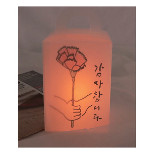색칠상자 무드등 카네이션