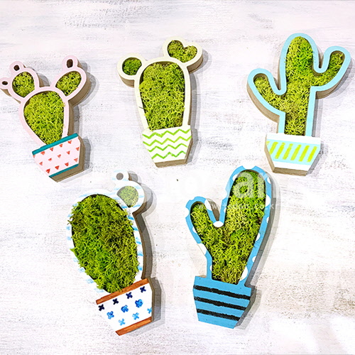 선인장 모스화분 만들기