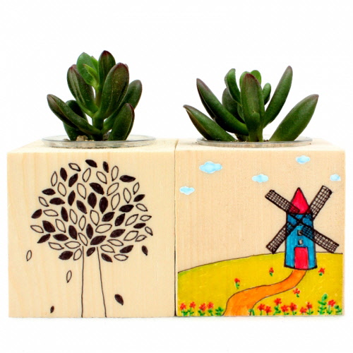 그리기나무화분 4인용세트